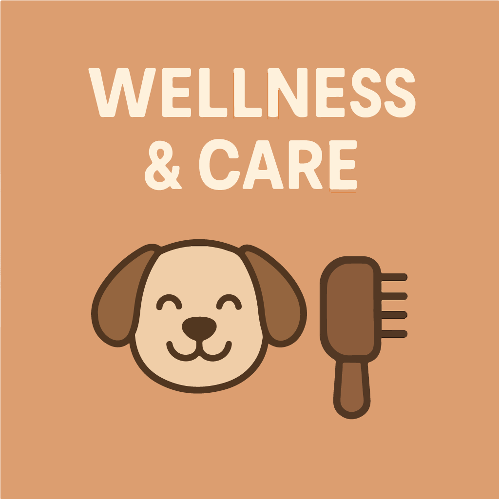 Welness & Care