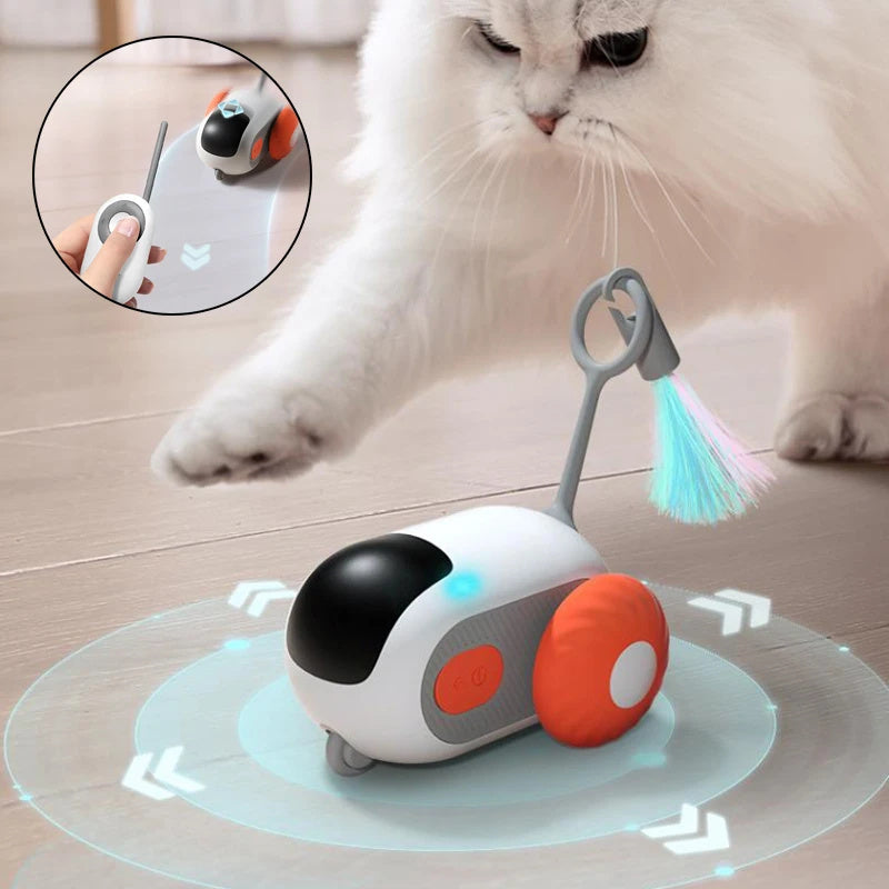 Zoom 'n' Play Katzenauto