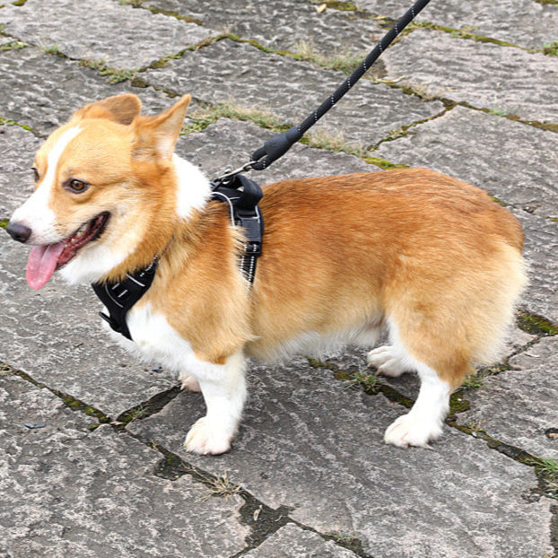 No-Pull Hundegeschirrweste 