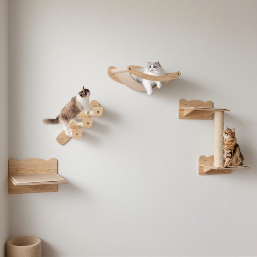 Wandmontiertes Katzenspiel- und Loungesystem 