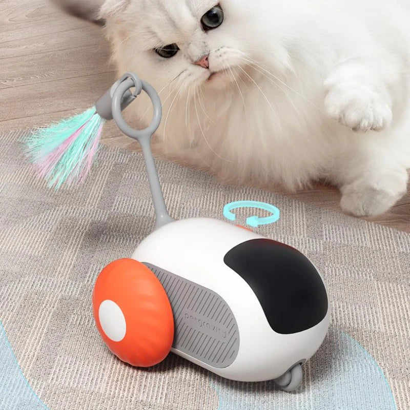 Zoom 'n' Play Katzenauto