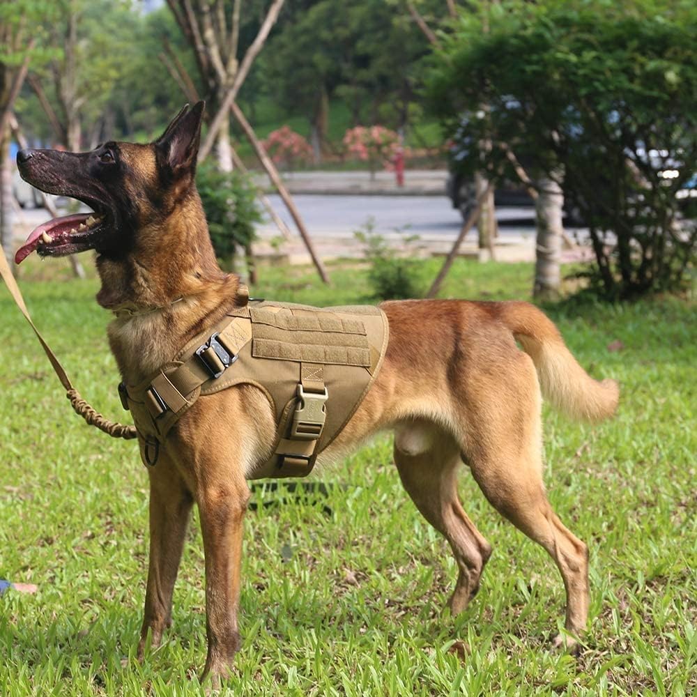 Taktisches Trainings-Hundegeschirr- und Leinen-Set
