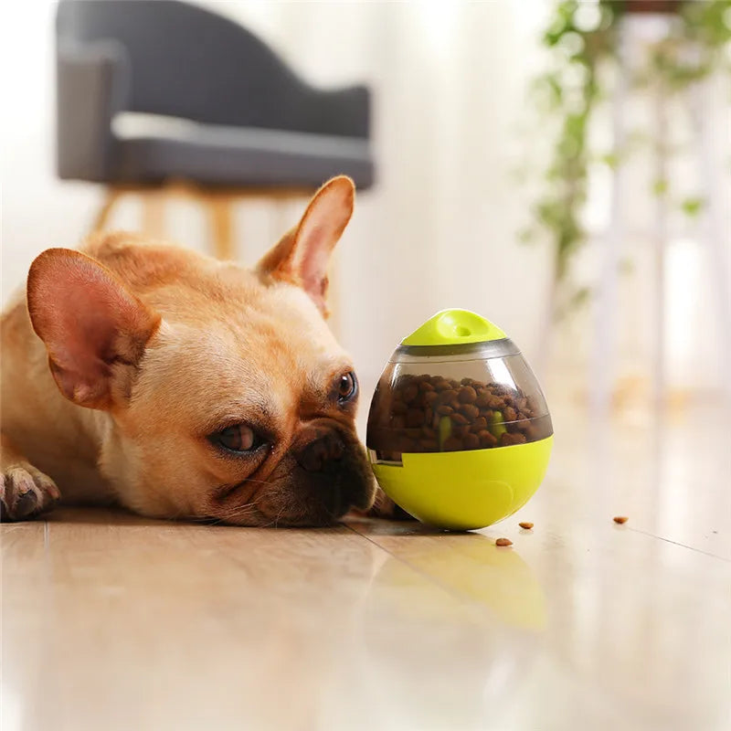 Tumbling Treat Dispenser – Lustiges Tierfutterspielzeug