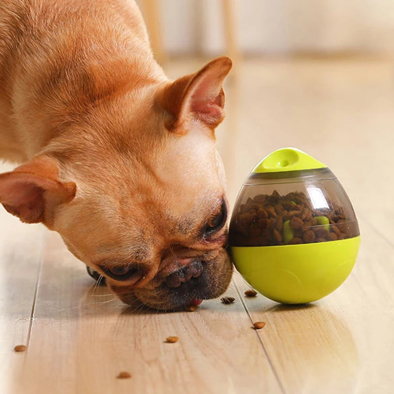 Tumbling Treat Dispenser – Lustiges Tierfutterspielzeug