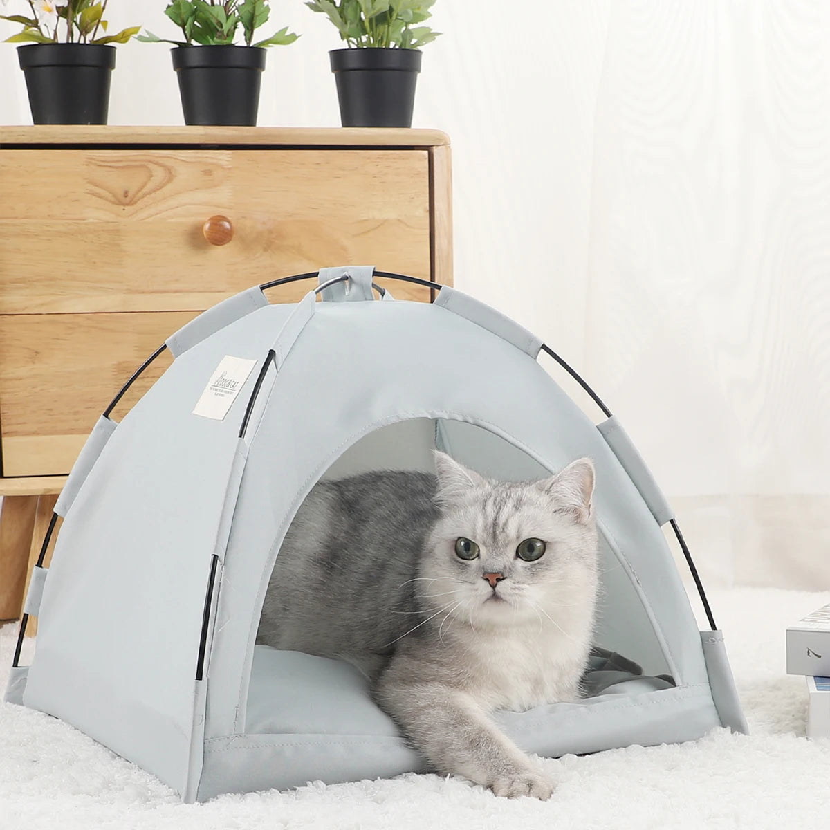 Katzen- und Hundezelt – Faltbarer Tierunterschlupf für drinnen und draußen