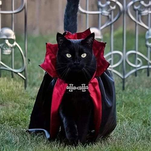 Batty Nights Haustier-Cosplay