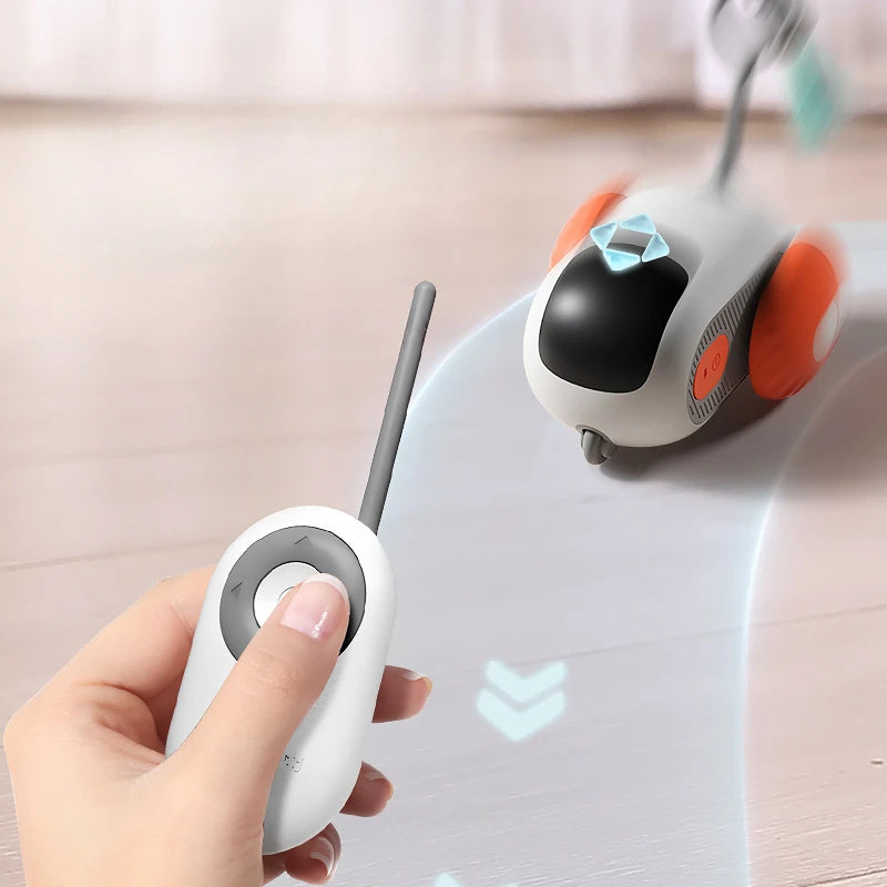 Zoom 'n' Play Katzenauto