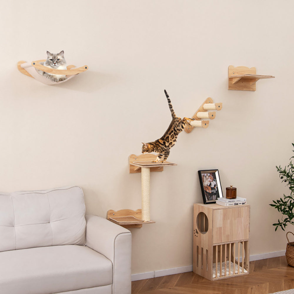 Wandmontiertes Katzenspiel- und Loungesystem 