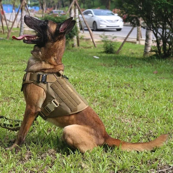 Taktisches Trainings-Hundegeschirr- und Leinen-Set
