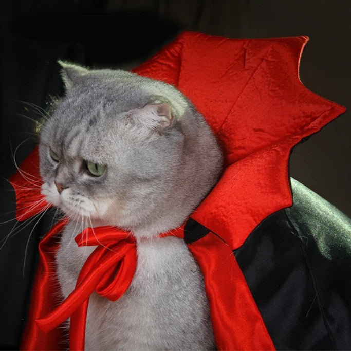 Batty Nights Haustier-Cosplay