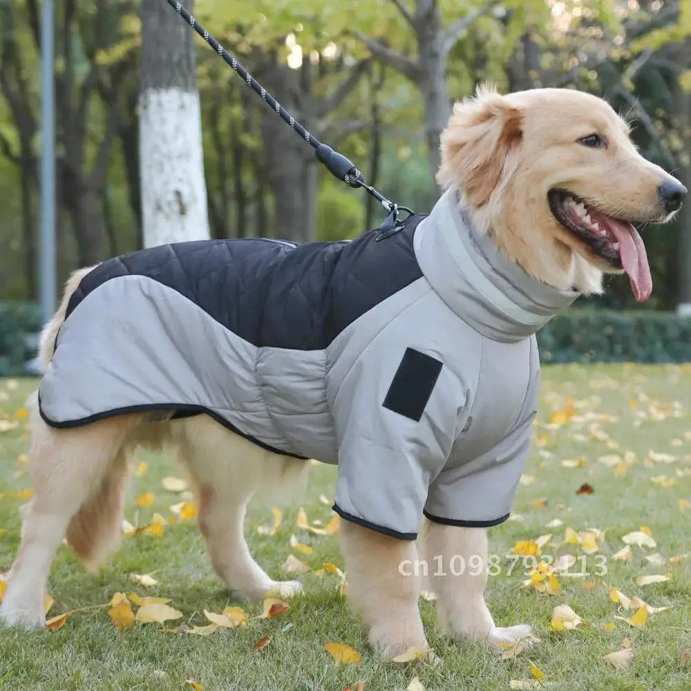 Wasserdichter Hundemantel für den Winter