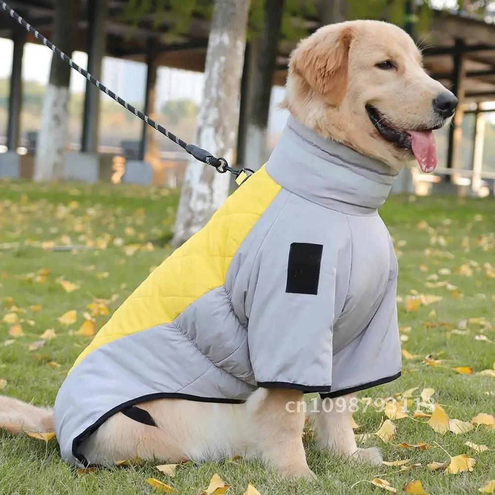 Wasserdichter Hundemantel für den Winter