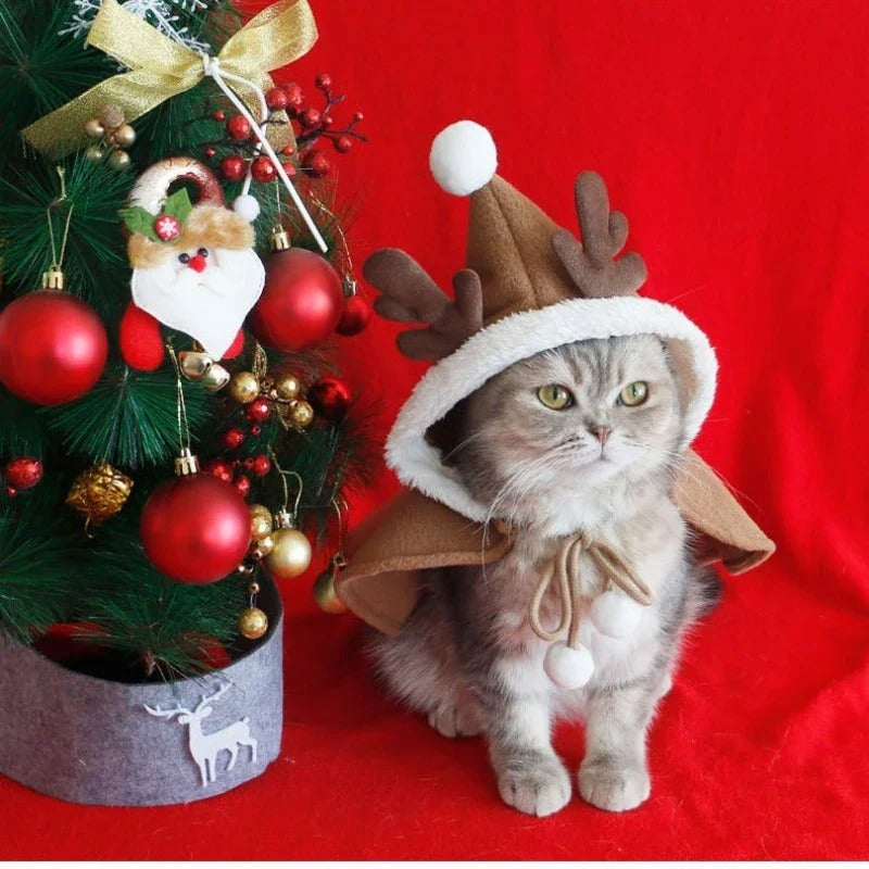 Pet Christmas Cloak